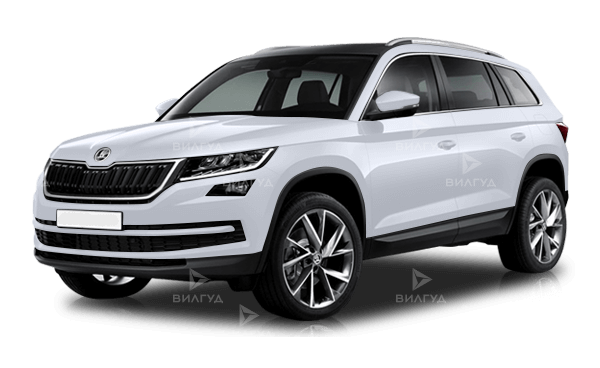 Антибактериальная обработка кондиционера Škoda Kodiaq в Тольятти Антибактериальная обработка кондиционера Škoda Kodiaq в Тольятти